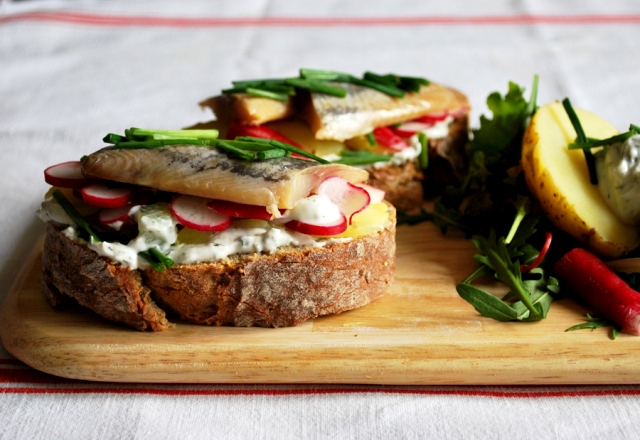 Tartine nordique au Tzatziki